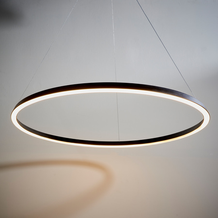 Staten 1 Pendant Light Black