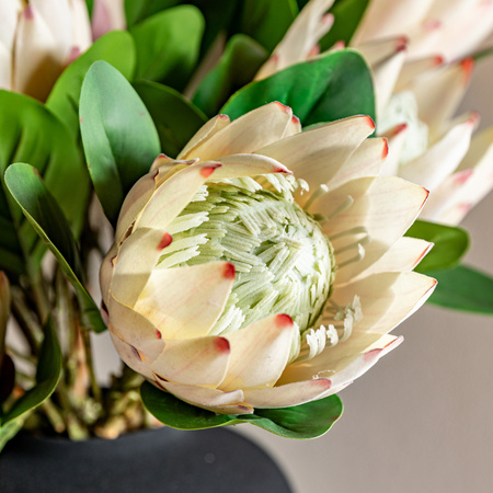 Faux Stem Statement Tropical Ivory 470mm (12pk)