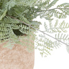 Potted Fern 350mm