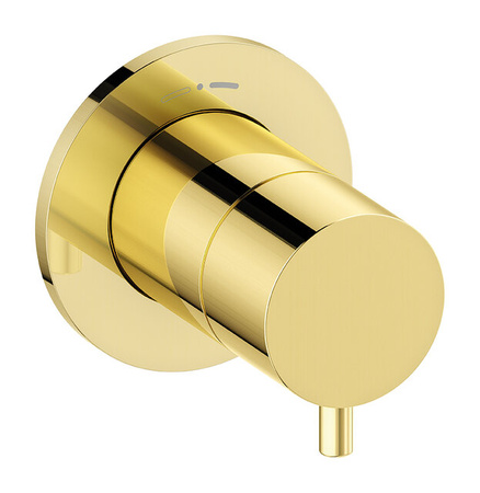 Zawór 2-drożny polerowany mosiądz pvd