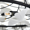 Lampa wisząca BOTANIKA 80 cm -czarna, G9, regulowana, designerska