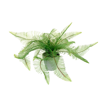 Potted Fern Feather 500x500x400mm