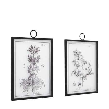 Petiole Framed Art Set of 2