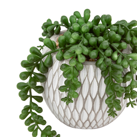 Small Succulents Ceramic Pots Set of 3