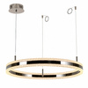 Lampa wisząca ARKADIA LED 80 cm - tytanowa z kryształowym pierścieniem
