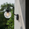 Eldon 1 Wall Light Black