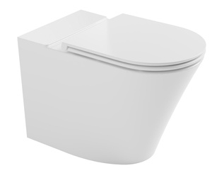 FEIN misa wisząca do kompaktu WC, Rimless, 61x36cm, poziomy/pionowy odpływ, biały