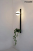 MOOSEE lampa ścienna PLANT WALL czarna