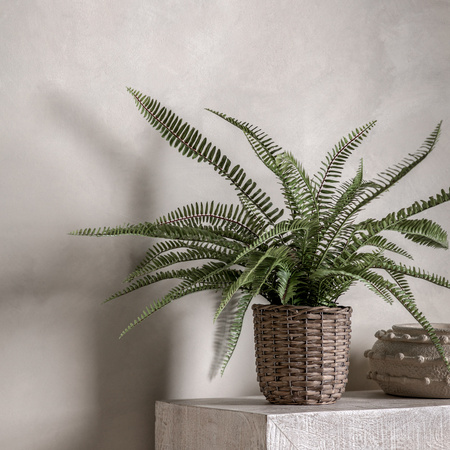 Potted Fern Plant 810mm