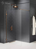 KABINA AVEXA COPPER WALK-IN  160x200 CZYSTE 8mm ACTIVE SHIELD