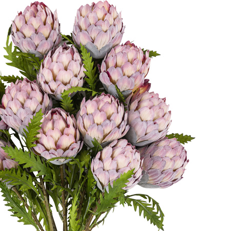 Faux Stem Statement Tropical Lilac 470mm (12pk)