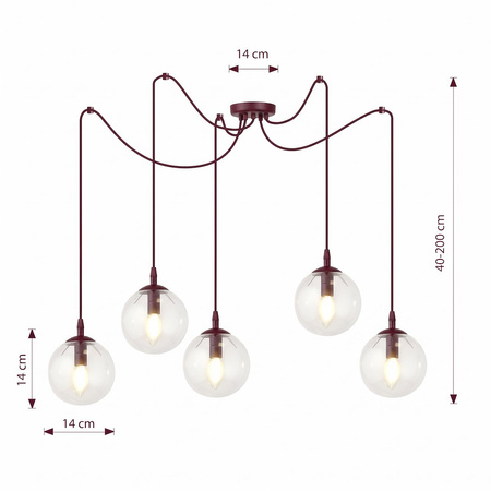 GIGI 5 BURGUNDY TRANSPARENT