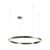 Lampa wisząca CIRCLE 120 cm - LED, ring tytan szczotkowany