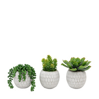 Small Succulents Ceramic Pots Set of 3