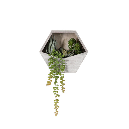 Wall Planter with Agave Succulent mix H380mm