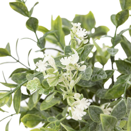 Retro Vase with Meadown Foliage