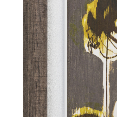 Revival Framed Canvas Set of 2