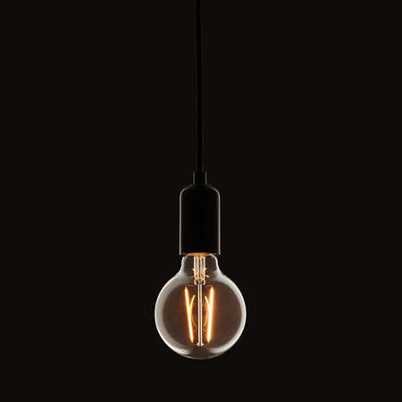 E27 LED Filament Globe 135x95mm Clear 2W