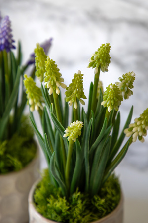 Spring Hydrangea White in Ceramic Pots Set of 2