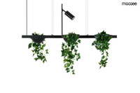 MOOSEE lampa wisząca PLANT LINE czarna