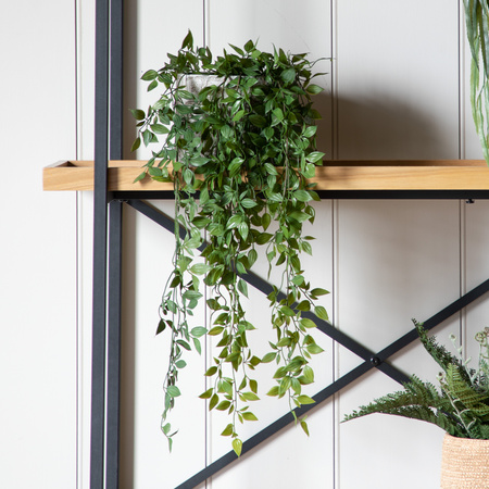 Pnącze w kolorze zielonym L500 mm