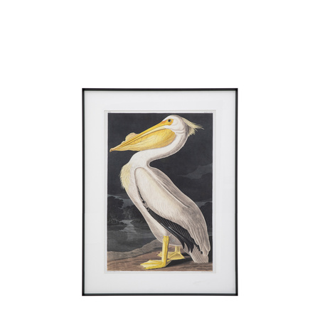 Pellicano Framed Art 600x900mm
