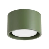 zielony oliwkowy \ Plafon 1