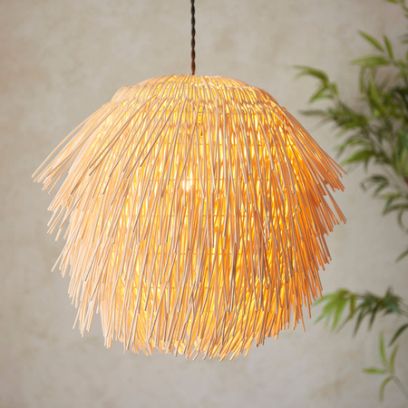 Pushpa 1 Pendant Light