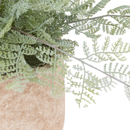 Potted Fern 350mm