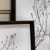 Delicate Nature Framed Art Set of 2