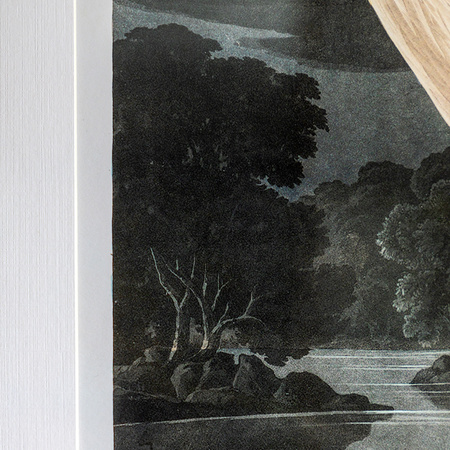 Pellicano Framed Art 600x900mm