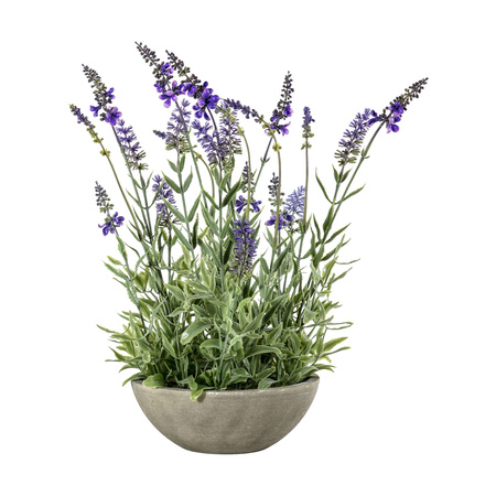Potted Lavender Bowl Small 220x220x400mm