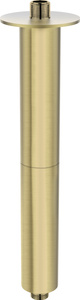 Wylewka prysznicowa sufitowa - 300 mm