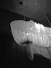 MOOSEE lampa wisząca ATLANTA LONG