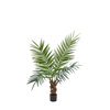 Potted King Kentia Palm Tree 4ft