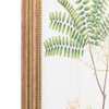 Obraz w ramie „Assorted Ferns” – zielony, 27 × 1,6 × 37 cm, zestaw 4 szt.