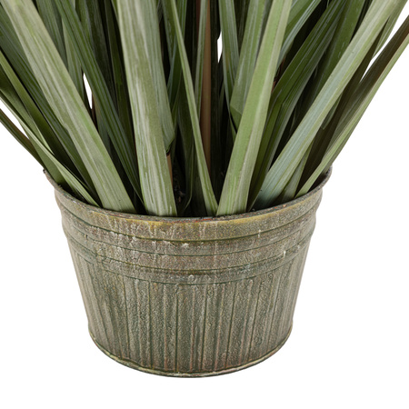 Potted Grass with Pampas Seed Heads 1270mm