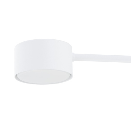 MODUS 4 WHITE
