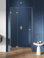 DRZWI WNĘKOWE AVEXA GOLD  P 100x200 CZYSTE 6mm ACTIVE SHIELD