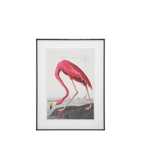 Wading Flamingo Framed Art 600x900mm