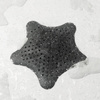 UMBRA sitko do odpływu STARFISH - czarny