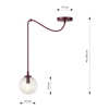 GIGI 1 BURGUNDY TRANSPARENT