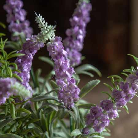 Potted Rustic Lilac Lavendar 280x280x300mm