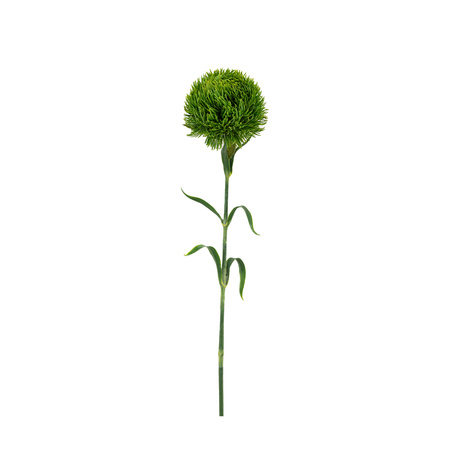 Faux Stem Statement Bloom Green 540mm (12pk)