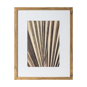 Sabal Framed Art