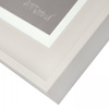 Dottie Framed Canvas 550x27x650mm
