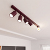 BASTER 5 BURGUNDY TRANSPARENT
