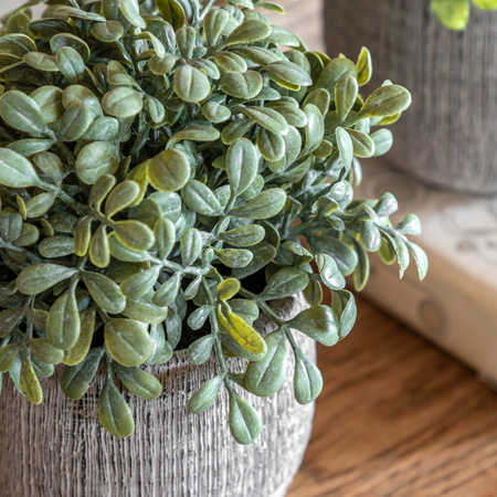 Potted Plant Ceramic Scratch Pots Sage Set of 2