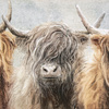 Three of a Kind Framed Canvas 1225x30x525mm