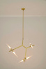 MOOSEE lampa wisząca CANDELABR 6 złota
